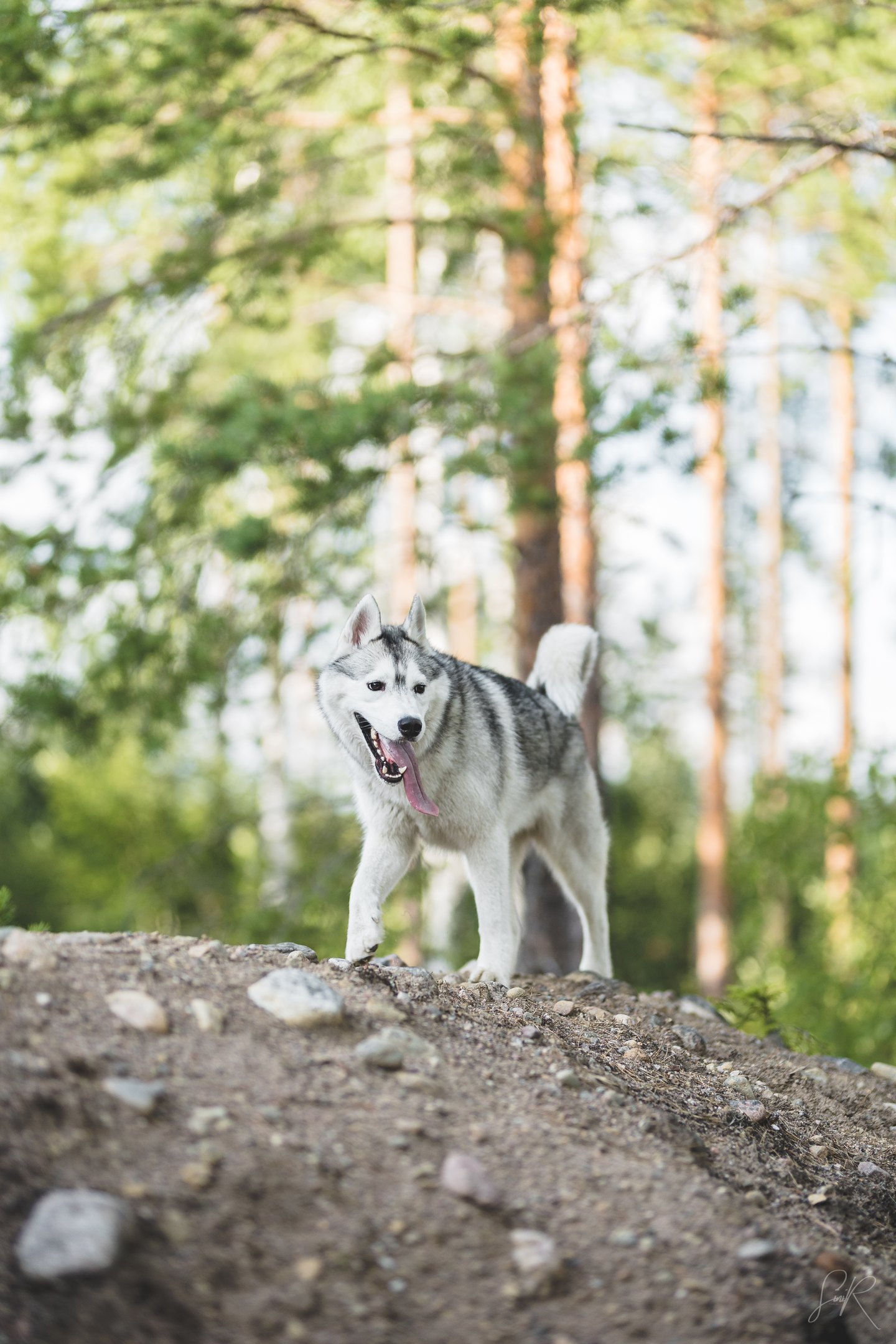 Beni on a cliff